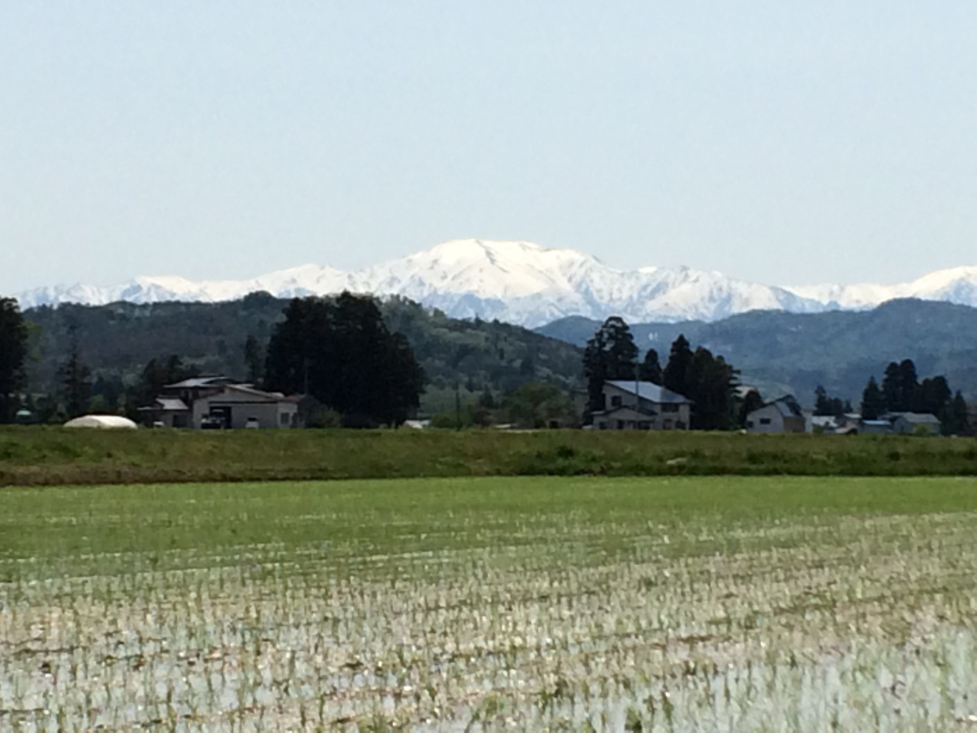 �Ŀ�����λ������