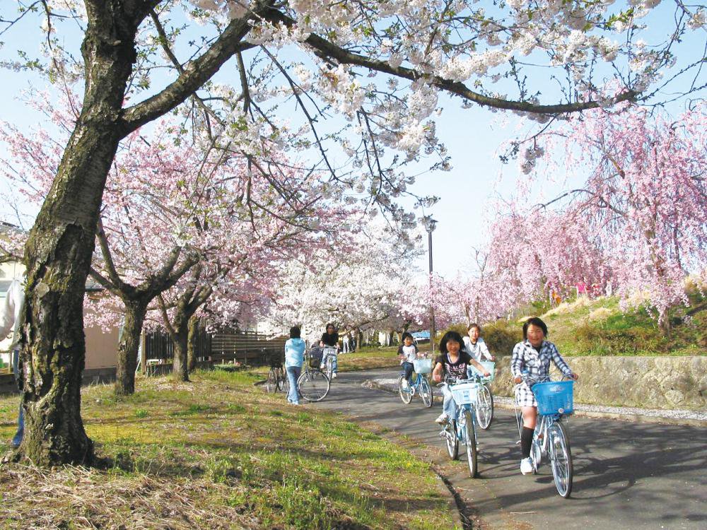 ��ȫĮ���۴ۥ�󥿥������롧����