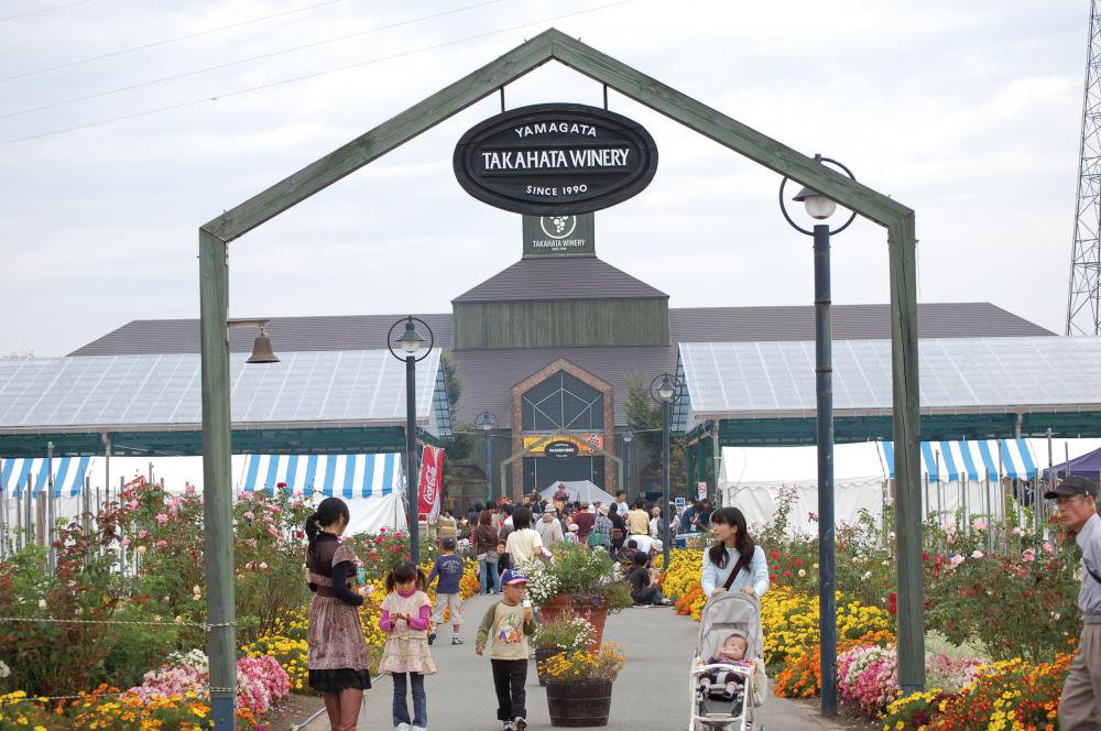 ��ȫ�磻�ʥ꡼������