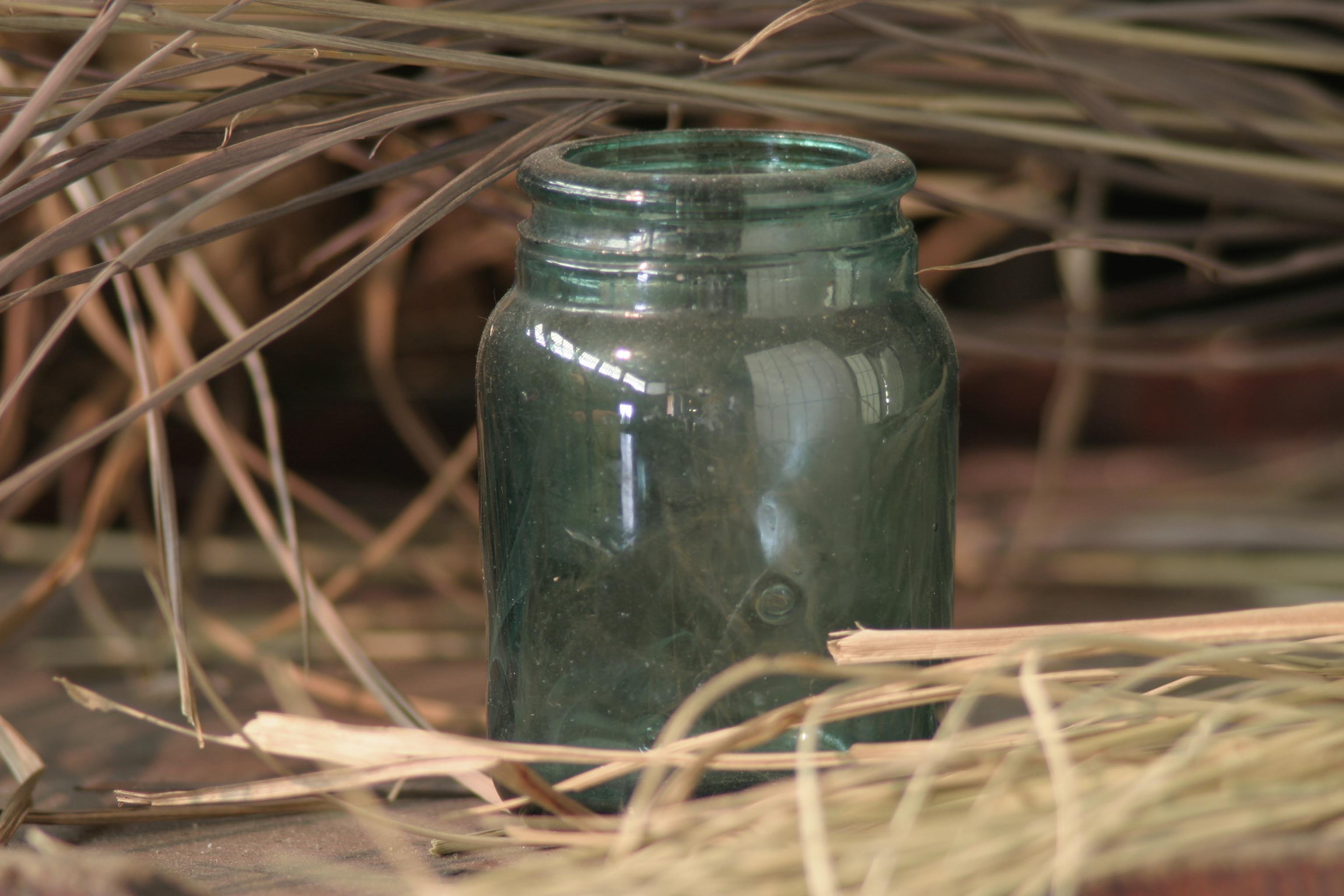 2015   �ե����ֺ¡�������ǯ�о��£�ǯ   12������