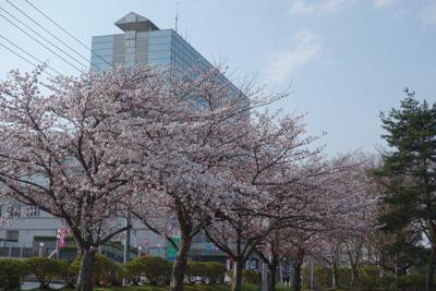 �ڽդι��Τ�������ۡ�����