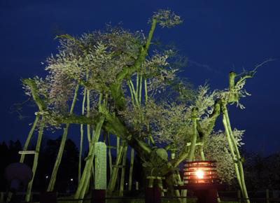 �ڵ��ݺ��饤�ȥ����åסۡ�����