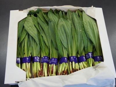 �ڹԼԤˤ�ˤ���ȯ�����Ϥޤ�ޤ������ۡ�����