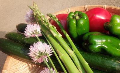 ���Ż���ڤǥ��ͥ륮�����㡼�����ۡ�����