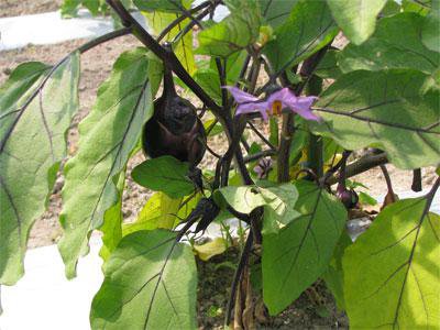 ����͵�����������ݤʤ��ҡ�Ϫ�Ϻ��ݡˡۡ�����