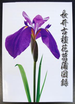 ��Ĺ��ż�־Գ���Ͽ����˥塼���뤷�ޤ����ۡ�����