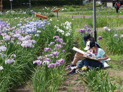 �ڤ����������2015�ۡ�����