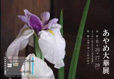 �ڡ������ʤ�������Ÿ���ۡ�����