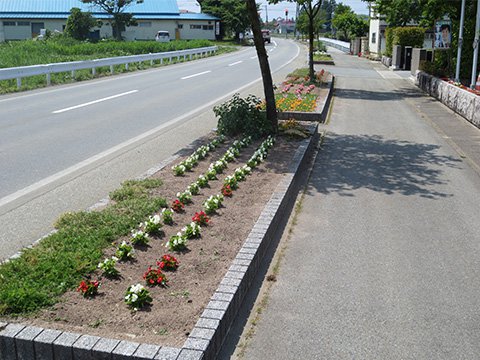 �ݡ�����饫���٥��˥��β֤��餭�ޤ���������