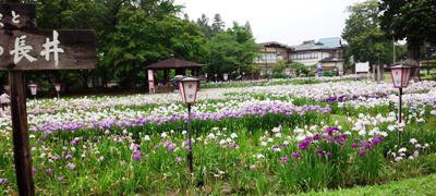 �ڤ����ˤ��襤�ԡ���ǯ�������襤�ۡ�����