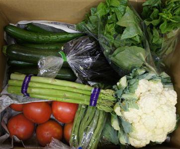 ���Ż���ڥ��å�ȯ�����ϡۡ�����