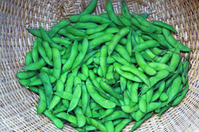 �ڵ�ˤλ�Ʀ����������Ʀ���ۡ�����