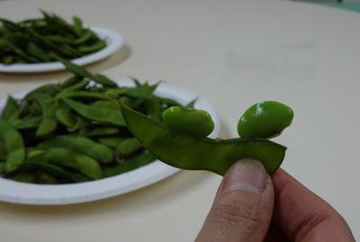 �ڡ��ϤΤ��ߤ����������ڤȿ���ڤ�ڤ����ۡ�����