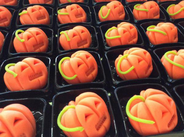 �������ϥ������󡪡�����