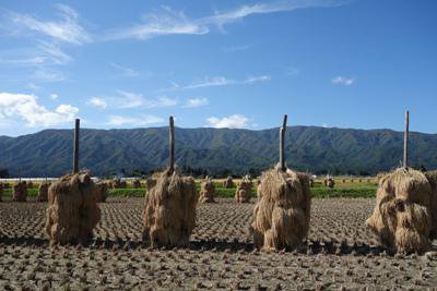 �ڤ���ޤ������ޤ뤫����2015���߹�ۡ�����