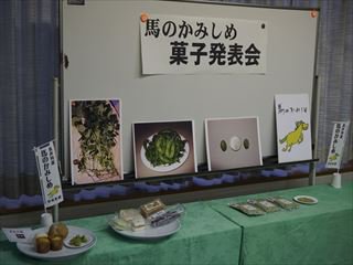 ���ϤΤ��ߤ���ץ��ꥸ�ʥ륹�����Ŀ���ȯɽ�񡧲���