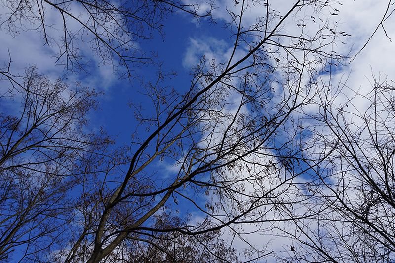 �ߤΥեåȥѥ�������