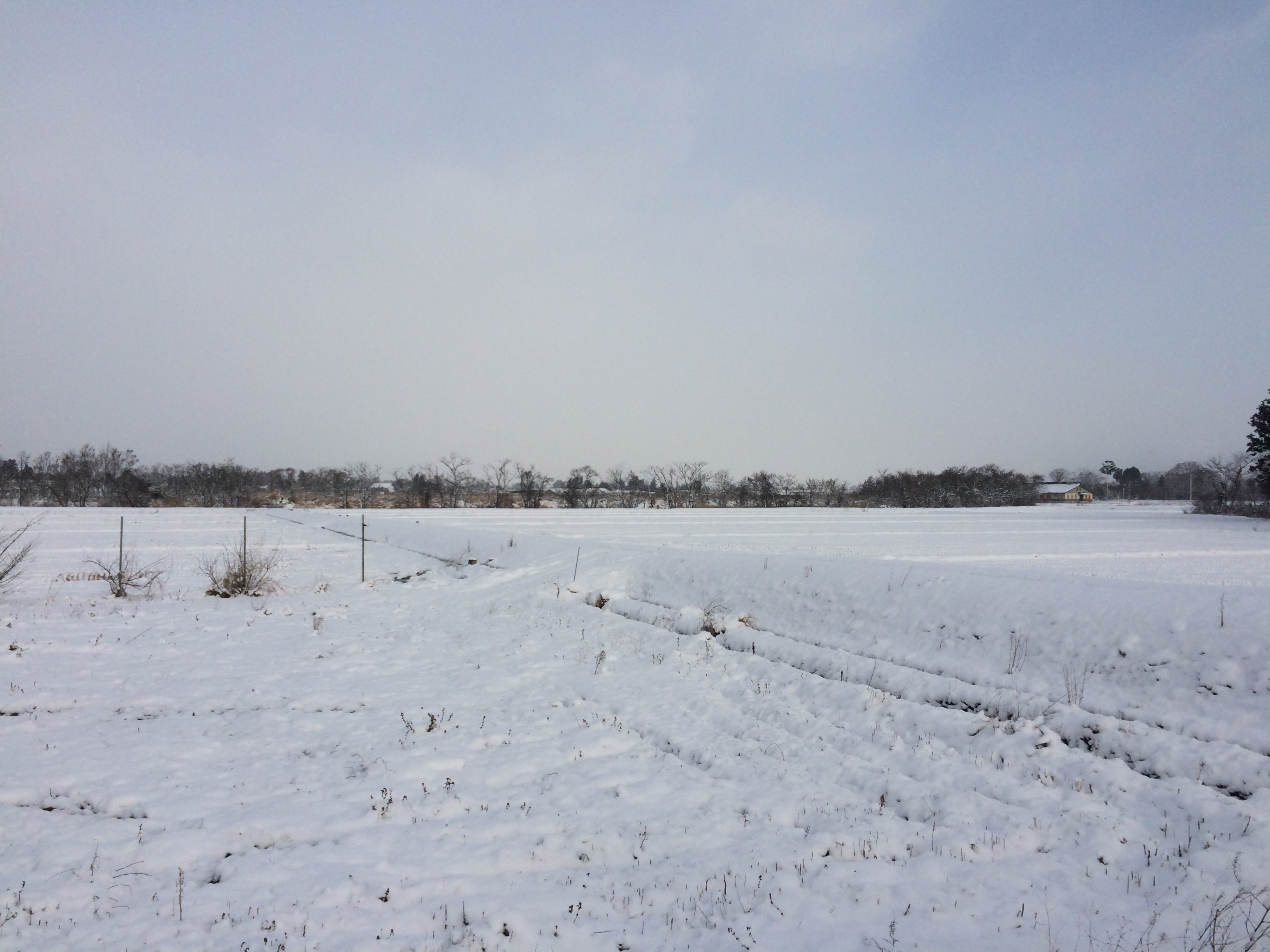 ���ʤ����㡧����