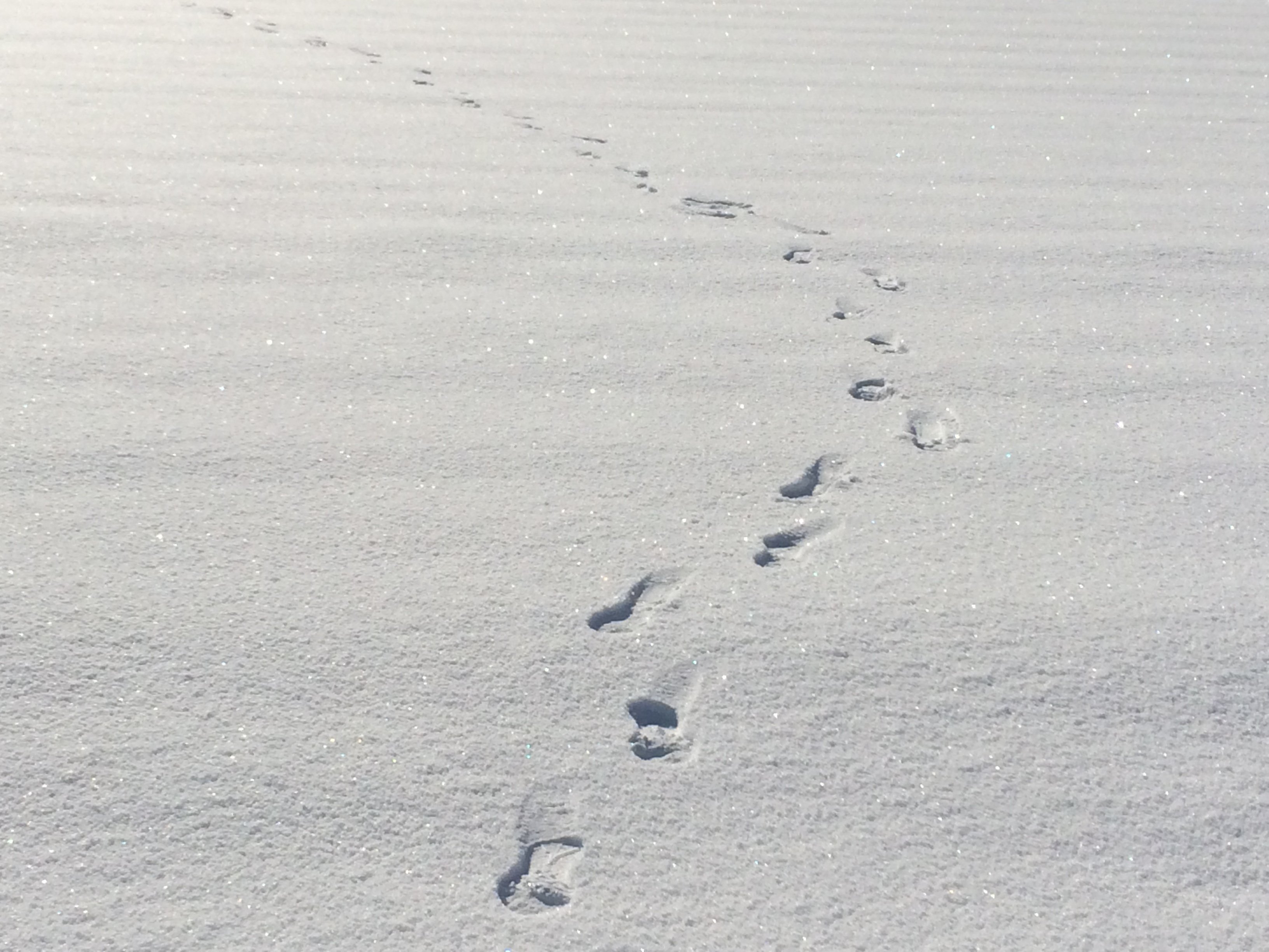 ����錄�ꡧ����