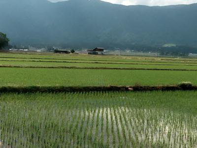 �ں���Ĺ��ԡۡ�����