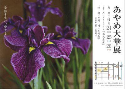 �ڤ�������Ÿ��ͽ����ۡ�����