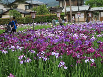 �ڤ�������ֲ־Գ��פ��Ҳ�ۡ�����