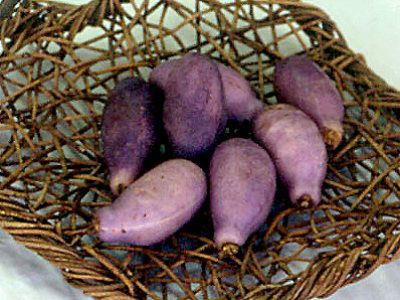 �ڤۤ��ˤ���̣������ �㤢���Ӣ�ۡ�����