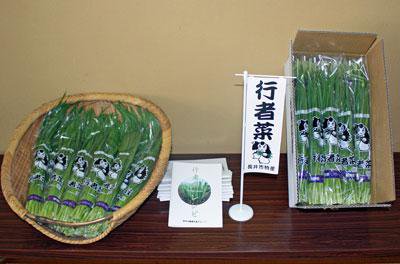 �ڹԼԺڤޤ�ʤ���λ�Ǥ����ۡ�����