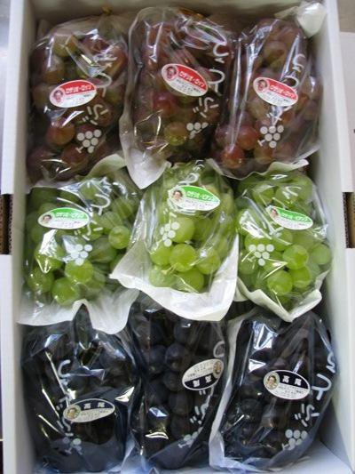 �ڰ˺����֤ɤ���ȯ���Ϥ��ޤ�ޤ������ۡ�����