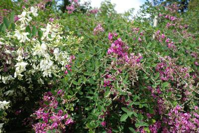 ���뤬�����ˤʤ�ޤ����ۡ�����