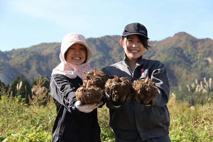 �礭���¤�ޤ���������