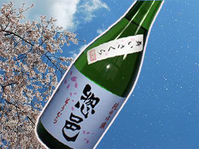 �ڽո��� ����͸���񤤤��������ۡ�����