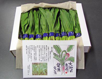 �ڸ��λ��ڡ��ԼԤˤ�ˤ��ۡ�����