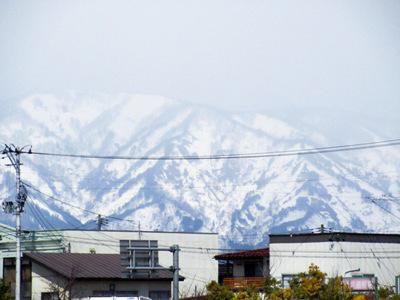 �ڽդ��褤�ۡ�����