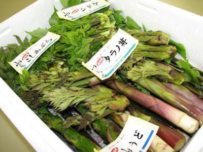 �ڤ��ޤ������ڥ��åȡ�ͽ������桪�ۡ�����