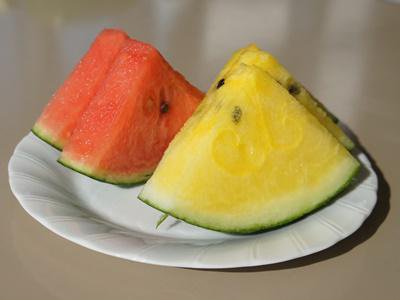 �ڲƤ�̣�С����̥������ۡ�����