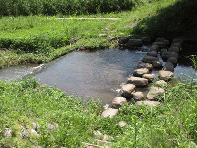 �ڿȶ�ʲƤ�õ���ơۡ�����