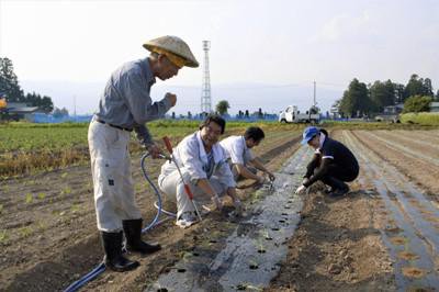 �ڹԼԺڸ��������դ���ۡ�����