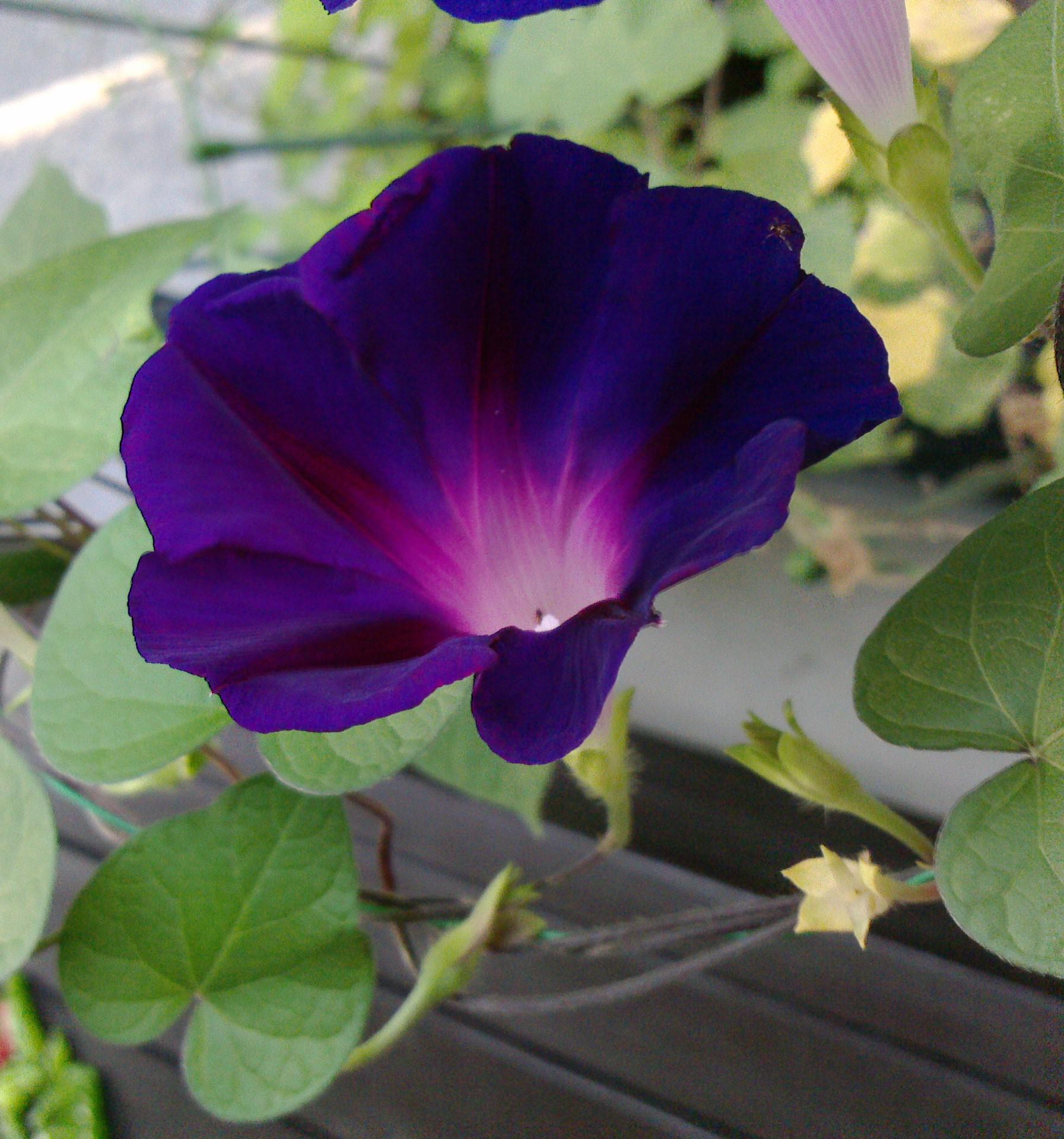 �ջ��������������Ť��Υ��������