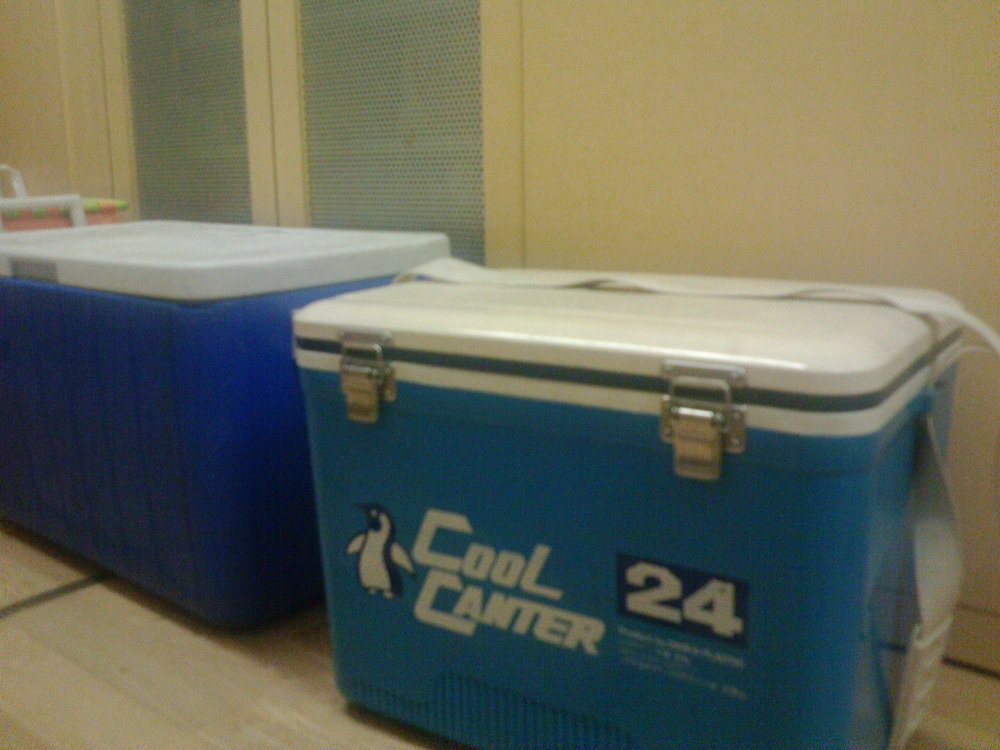 ��¢�ˤ�����ޤ�������������