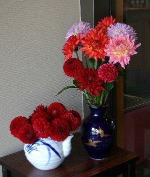 ���Τ���ꡡ��̱���鸫���ʥ��ꥢ�β֤��Ϥ�������