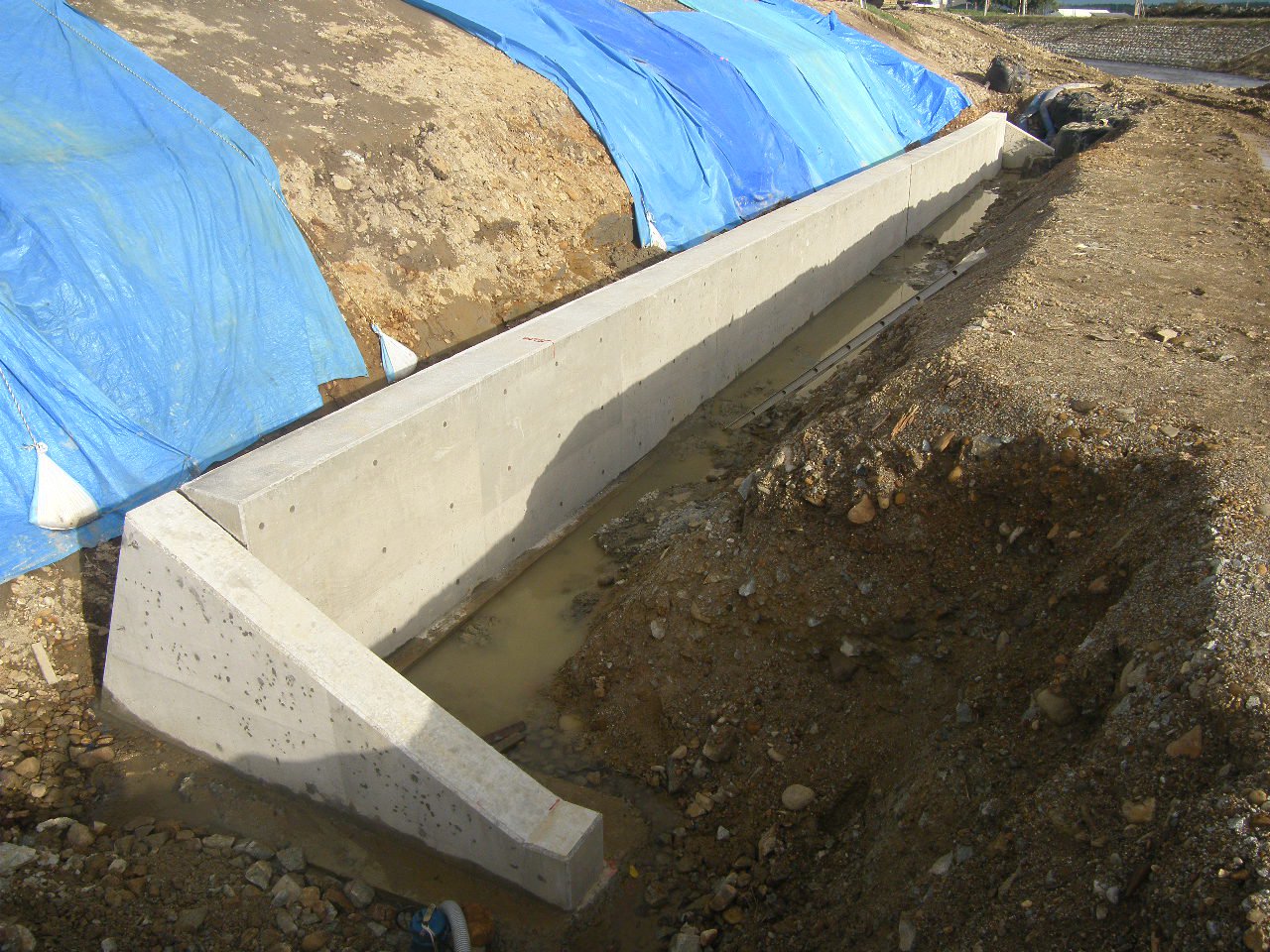 �������߹�����������