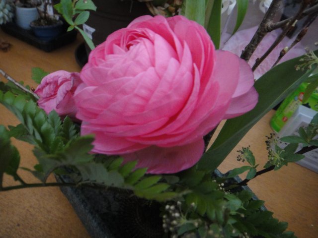 �������ʤ����碌������