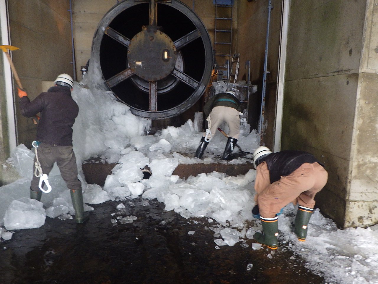 �������ݻ�����������