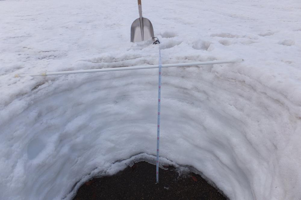 ����Хѡ�������վ졡�������λ���95�����������