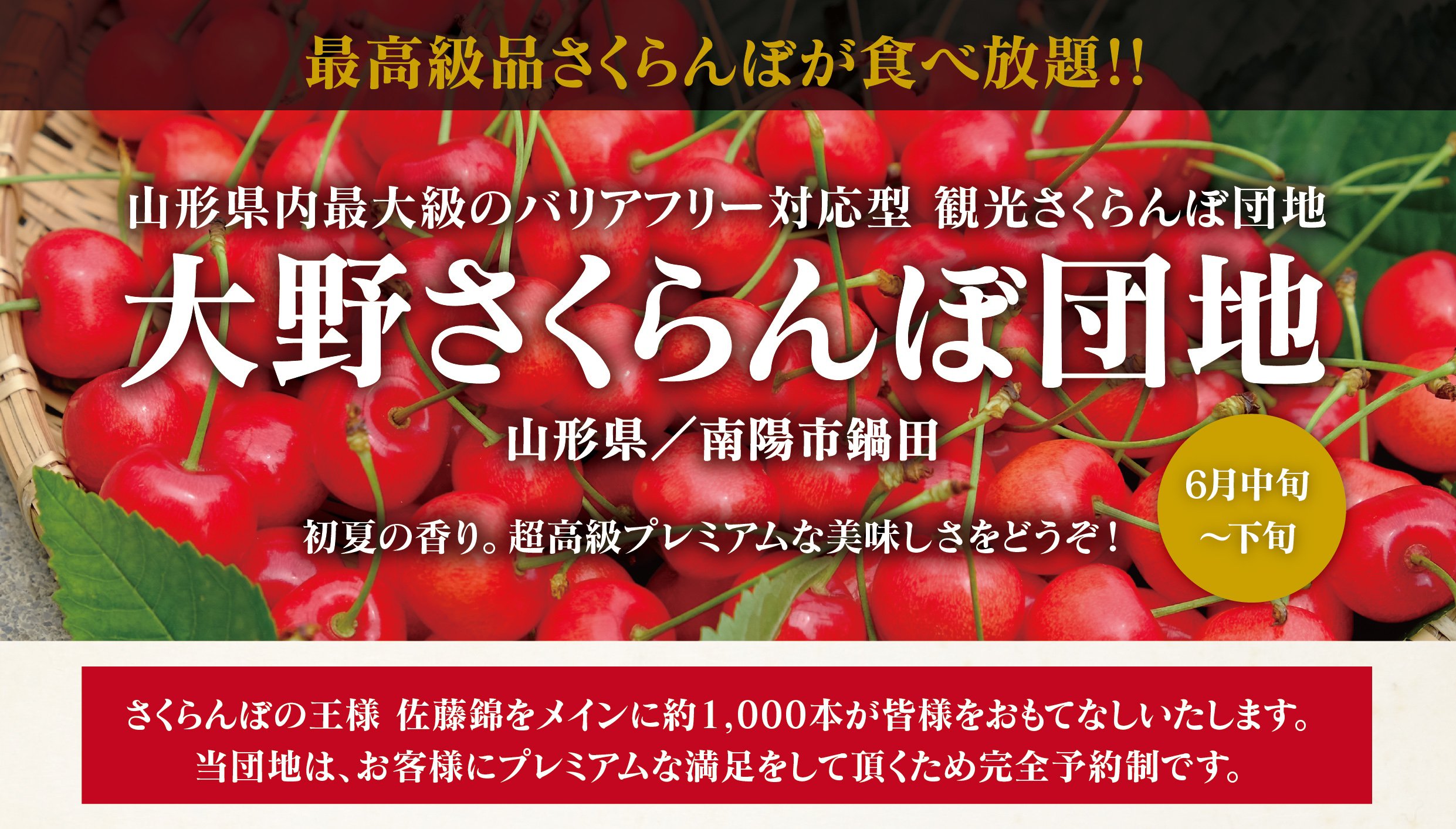 �֤������̣���׺ǹ���ʤ������ܤ��������ꡧ����