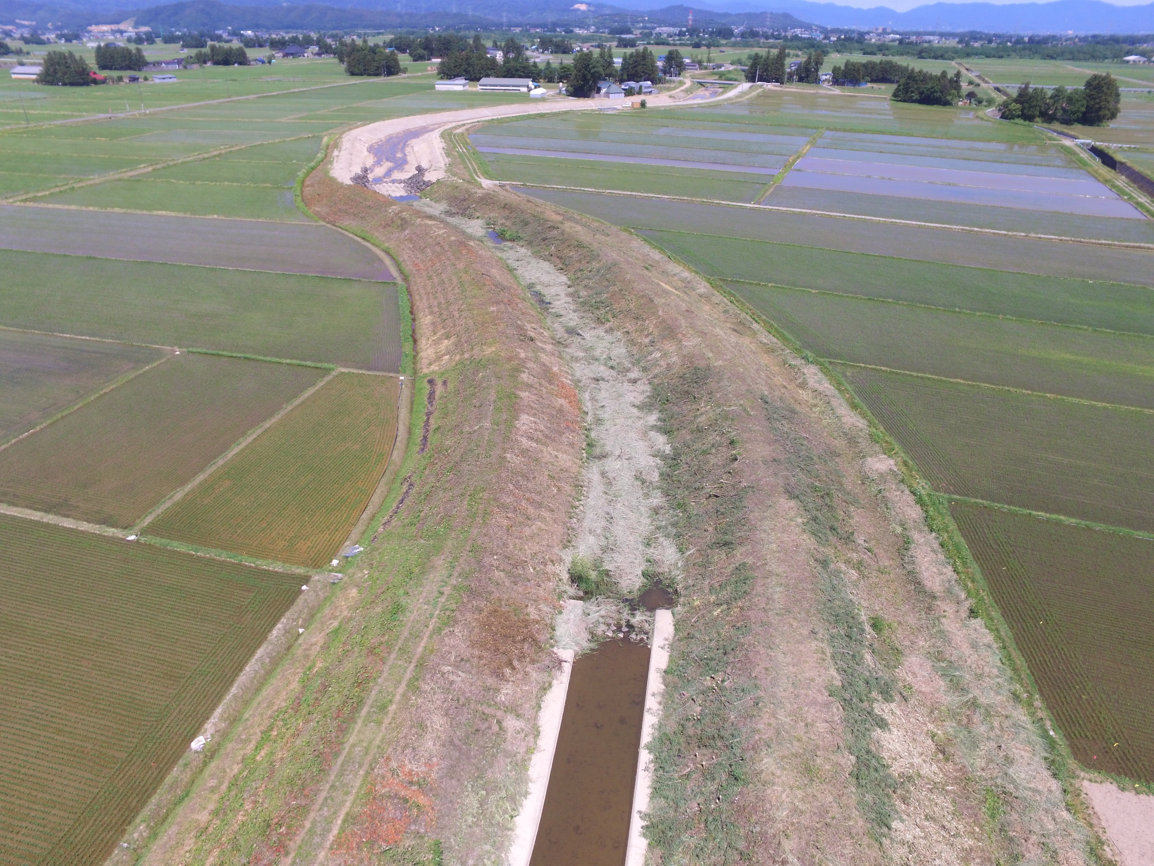 �������߹���������