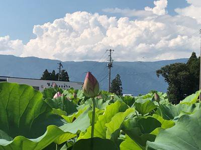 �ڡ�ϡ�β֡פ������Ǥ��ۡ�����