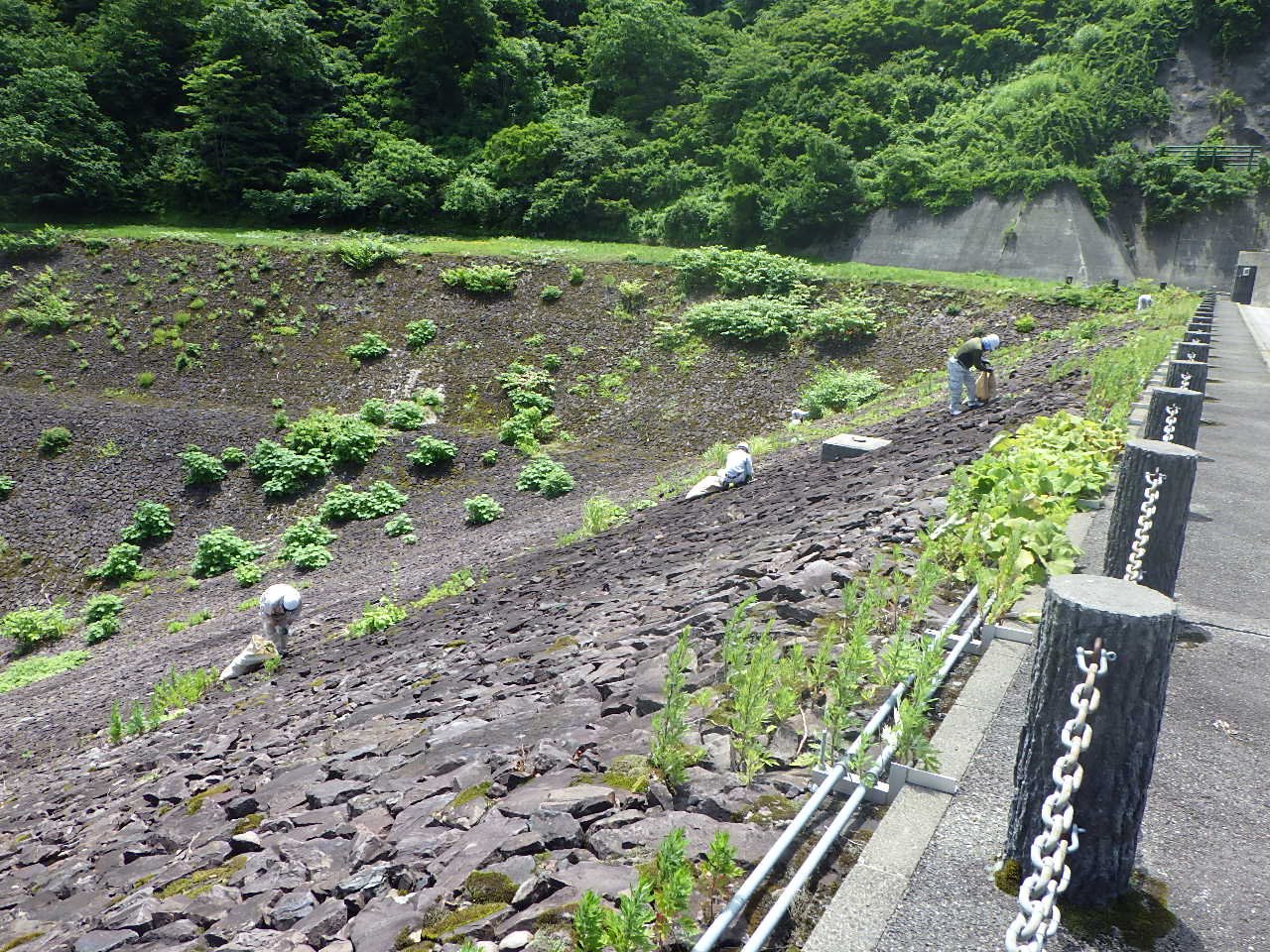 �������ݻ�����������