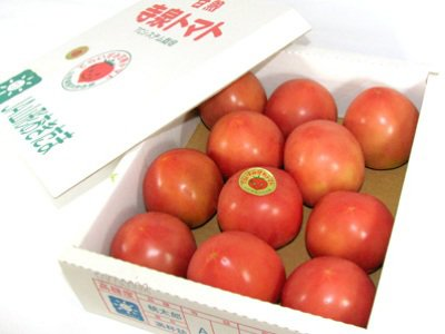 ��Ĺ��Υ֥��ɢ����� �����ȥޥȡɡۡ�����